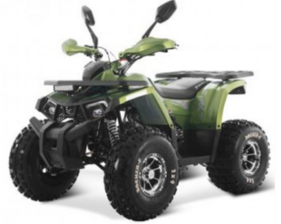 Квадроцикл FORTE Shark III 250  КВ76 фото