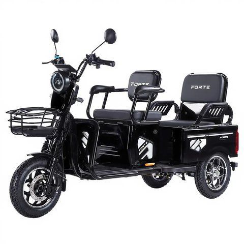 Электротрицикл Forte CARGO-WN1072G