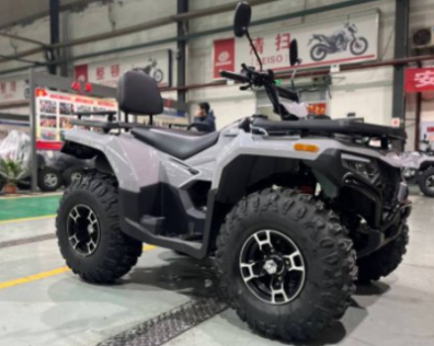 Квадроцикл FORTE ATV-300BS 2WD КВ82 фото