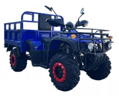 Квадроцикл Forte ATV-250BS-T КВ83 фото