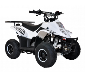 Квадроцикл Spider 110cc КВ25 фото