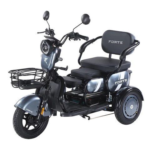 Электротрицикл FORTE FAMILY-WN1060